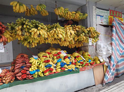 Day 2 - Zhuhai, China