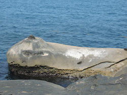 Kenting national park