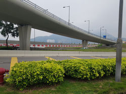 Day 5 - To Airport (Gut Instincts)