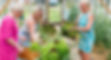 IMGM2437_websize_fotograaf.lauri_edited.jpg