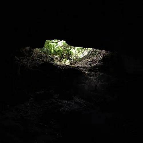 内部から壕口を見る