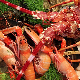 Crostacei