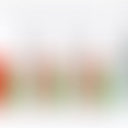 "Campeones del abandono animal en Europa"