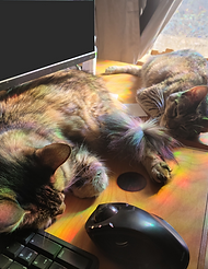 the hardest of workers.png