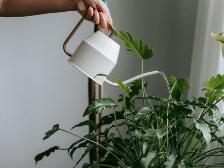 The Impact of Boosting on Instagram Growth (And Why it Differs From Ads)