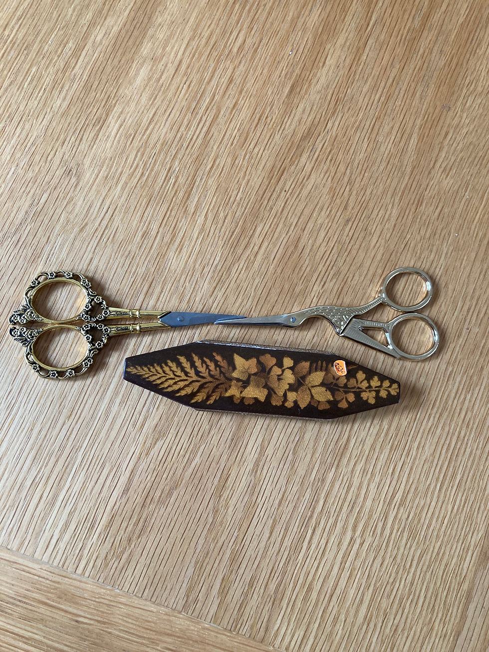 Thumbnail: Mauchlin Fernware scissor case.