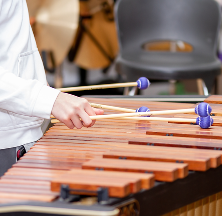 Music SG A3 Banner in Hand (1).png