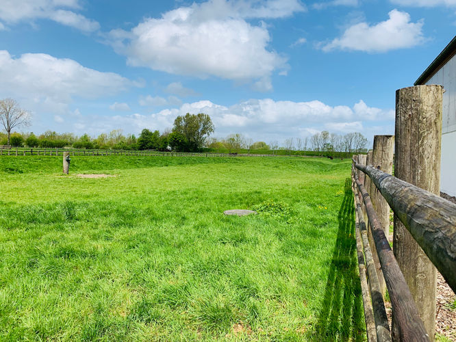 Umzäunte grüne Wiesen vom Zuchtbetrieb Haack.
