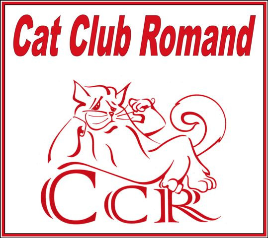 cat club romandexpositions felines romandie club de chats de race