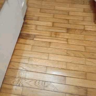 361215A0-3D4F-41EB-B7C9-1EC8166BDE57.gif