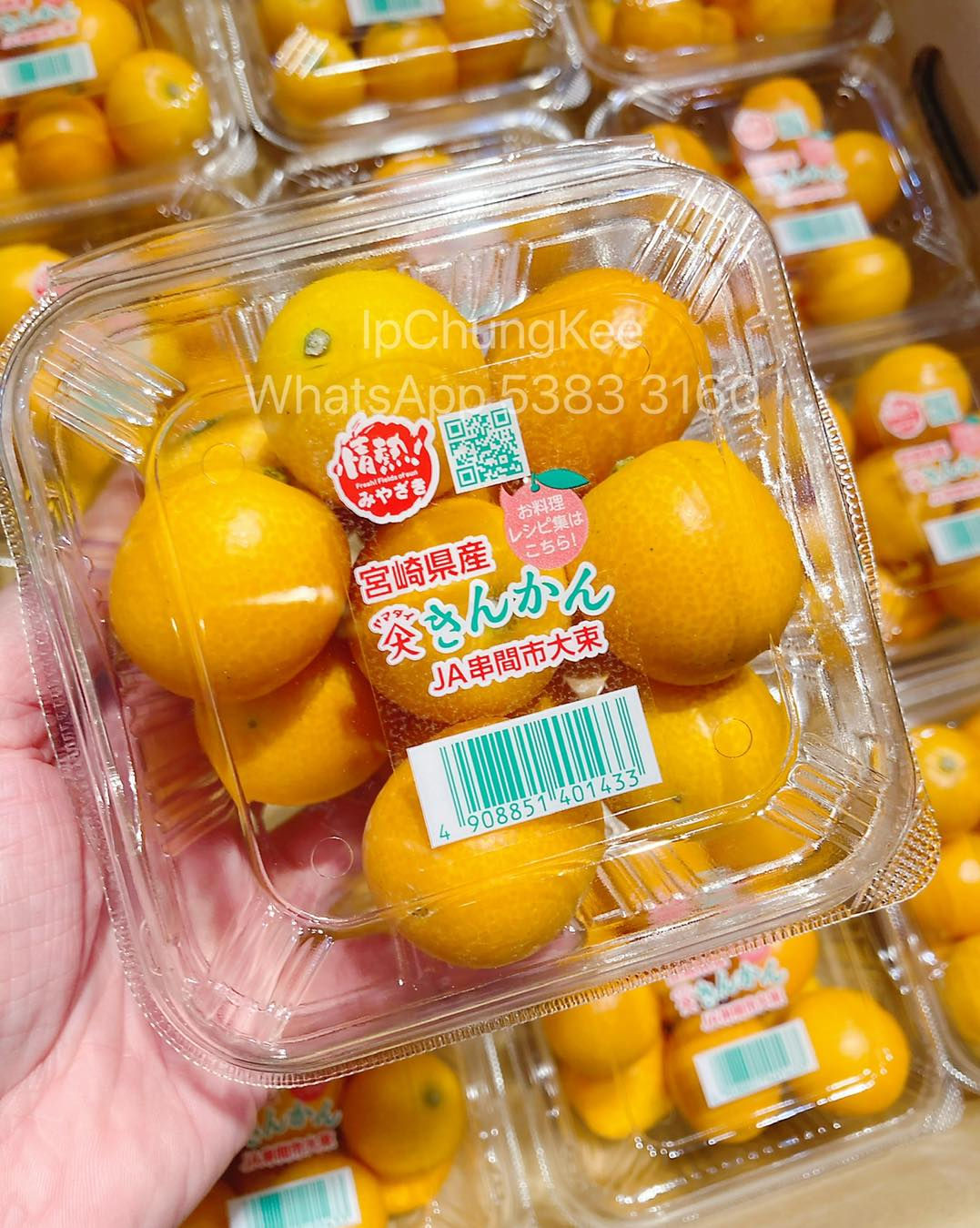 🇯🇵日本宮崎縣金桔仔🍊2盒