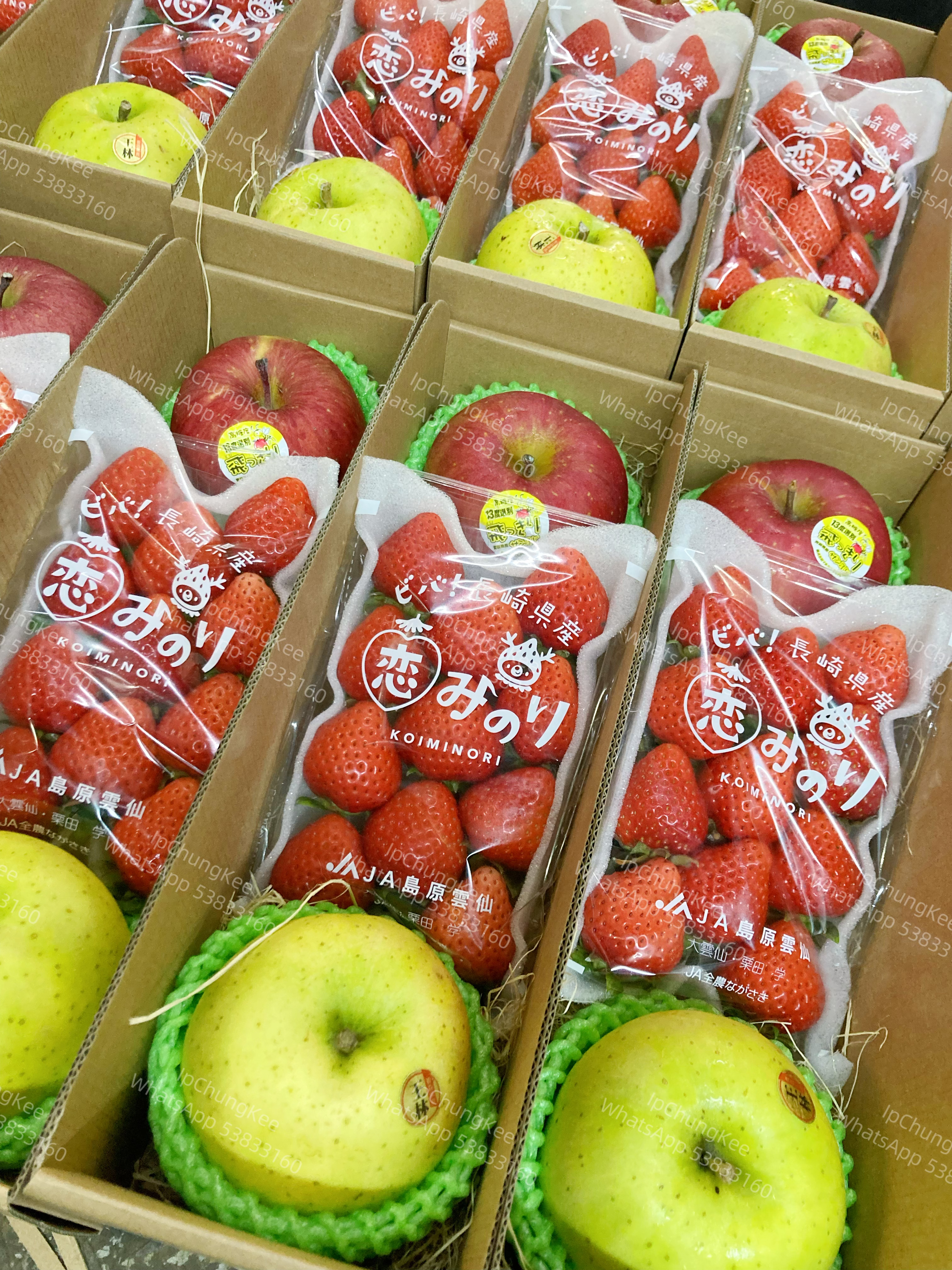 🎁 ICKXC-001 🎁細果盒