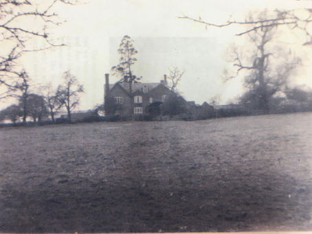 The Mystery of the Haunted Tree