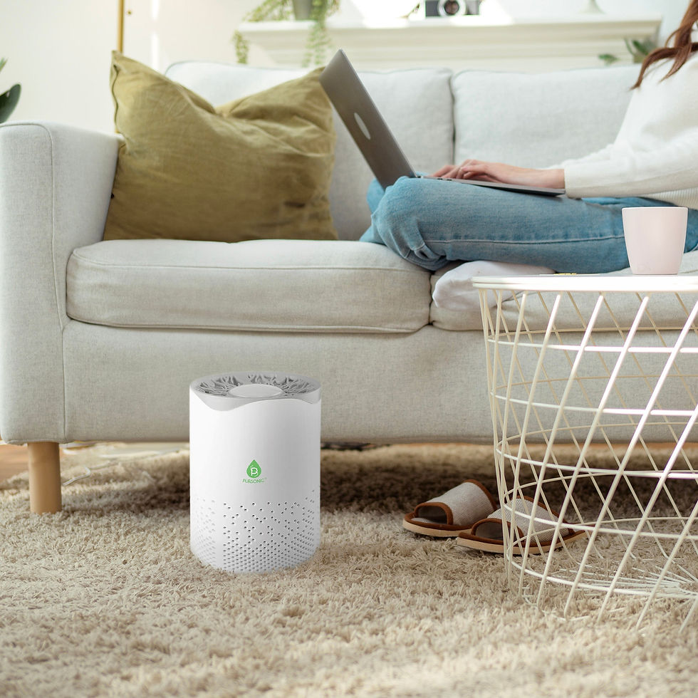 Miniatura: USB Powered True HEPA Air Purifier