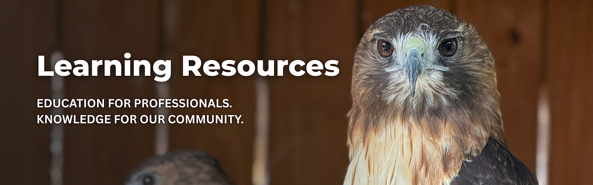 LEARNING RESOURCES EDUCATION FOR PROFESSIONALS. KNOWLEDGE FOR OUR COMMUNITY. Explore profe