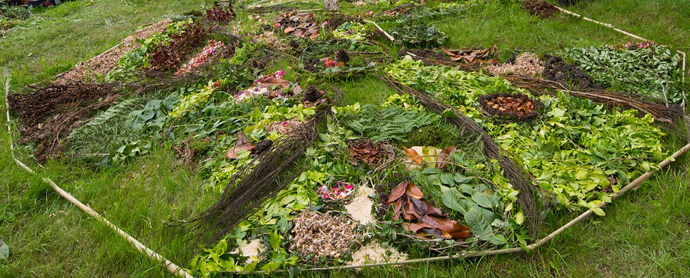 fete de la nature-6020_edited_edited.jpg