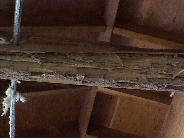 Termite Control Priority