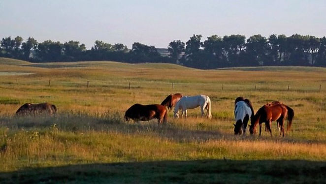 232323232fp539 6)nu=3259)59 )4 )WSNRCG=