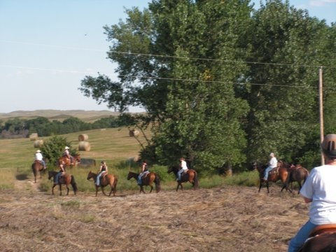 Hay Meadow