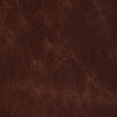 KRAVET DESIGN
