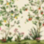 Thumbnail: KRAVET DESIGN