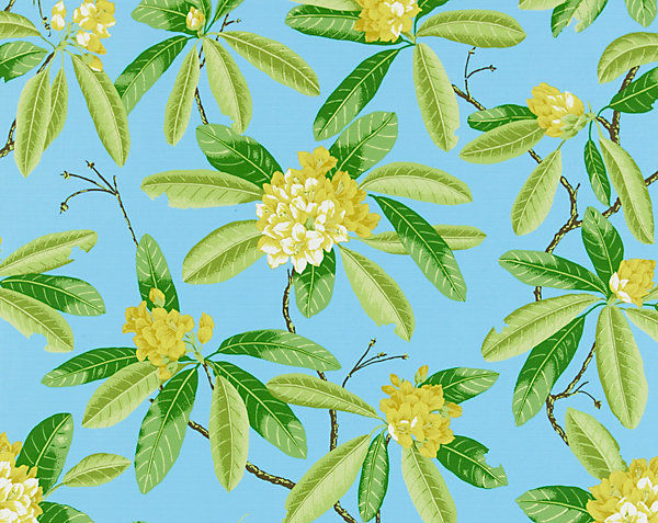 Thumbnail: RHODODENDRON - OUTDOOR