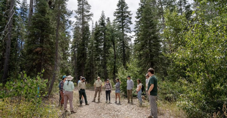 Forest Resilience Bonds Strengthen Communities Before Wildfire Strikes