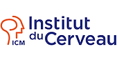 Institut du cerveau