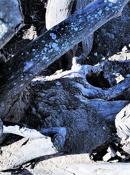 IMG_1757 (3)-cropped-2 (1).jpg