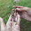 Miniaturbild: Solar, Dread-Schmuck
