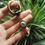 Miniature : Back to Basics, Poids d'oreilles laiton Œil 