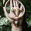 Miniature : Solar, Boucles d'oreilles pierre de lune