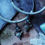 Thumbnail: Collier ras de cou simple crâne de buffle 