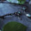 Thumbnail: Ras de cou macramé Œil vert et aventurine 