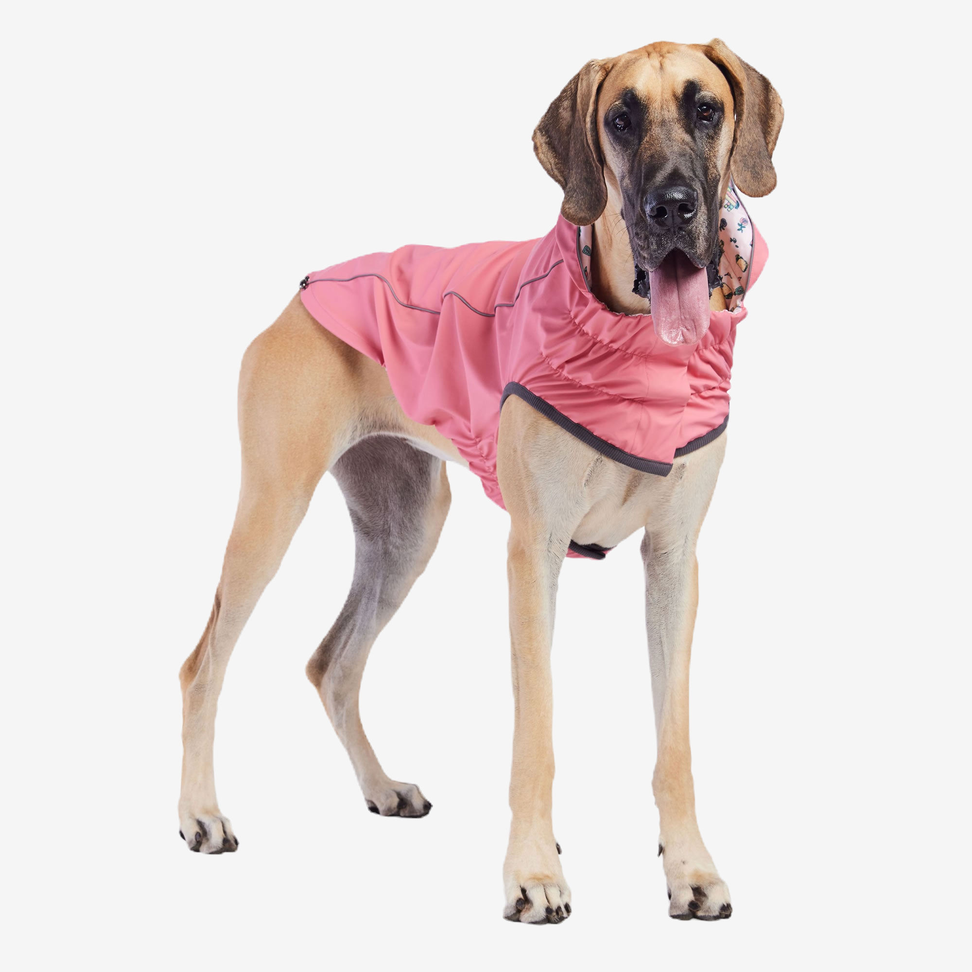 GF Pet Reversible Elasto-Fit Raincoat - Pink/Pink
