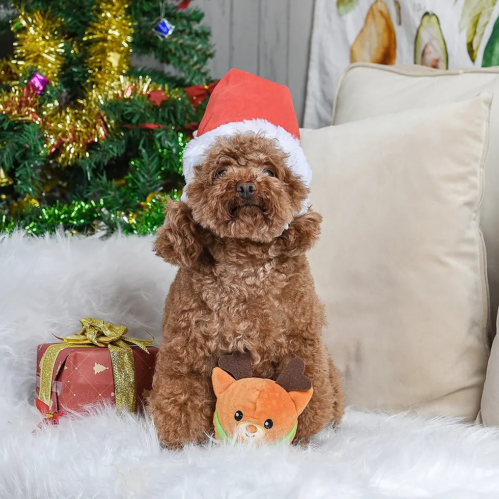 Thumbnail: Dog with Reindeer Dog Toy