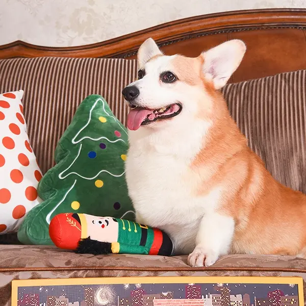 Thumbnail: Corgi With Nutcracker Dog Toy