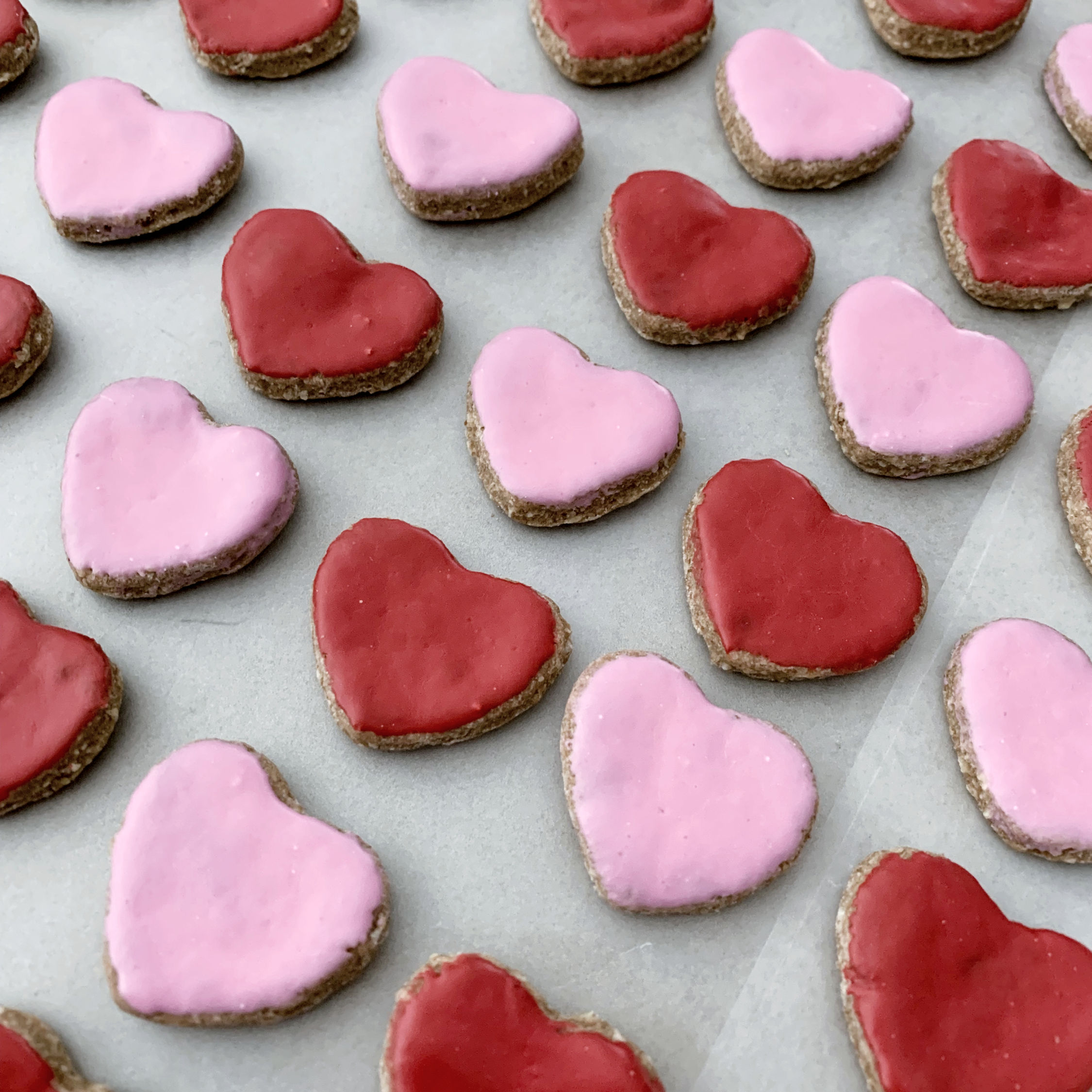 Mini Heart Dog Treats Front View