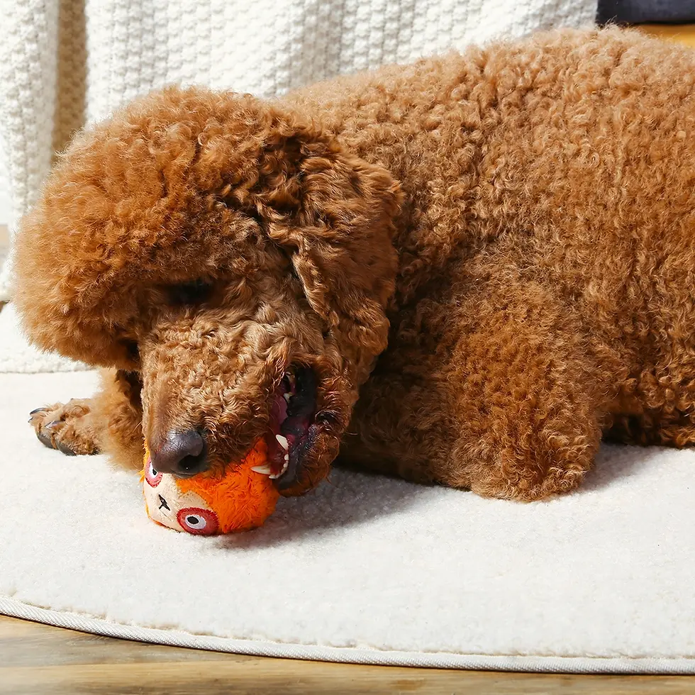 Thumbnail: Dog Chewing Sloth Dog Toy