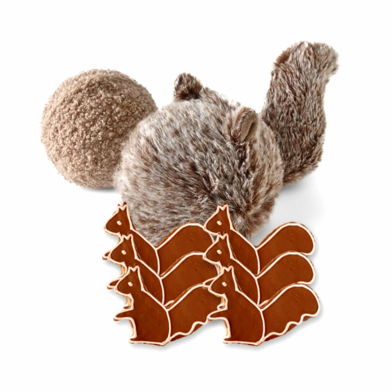 Squirrel Dog Toy And DogTreats Front View
