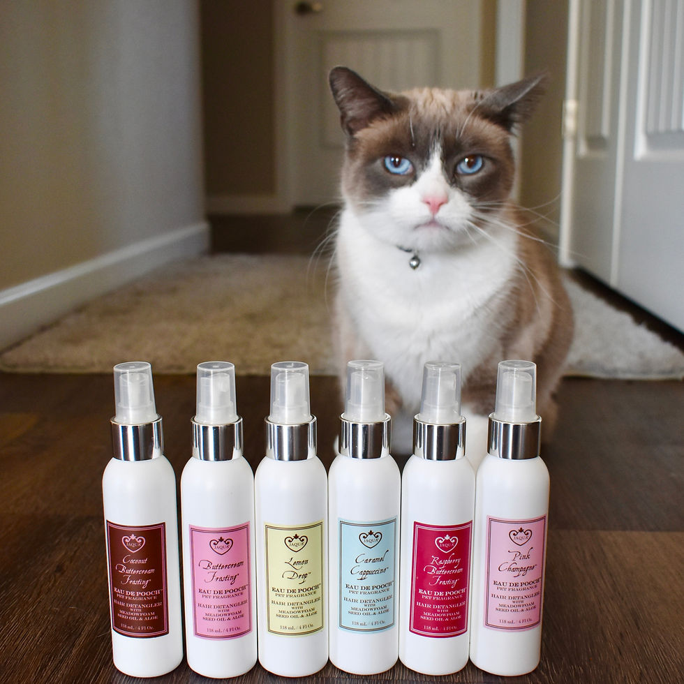 Thumbnail: Buttercream Frosting Eau De Pooch Pet Fragrance and Hair Detangler Spray