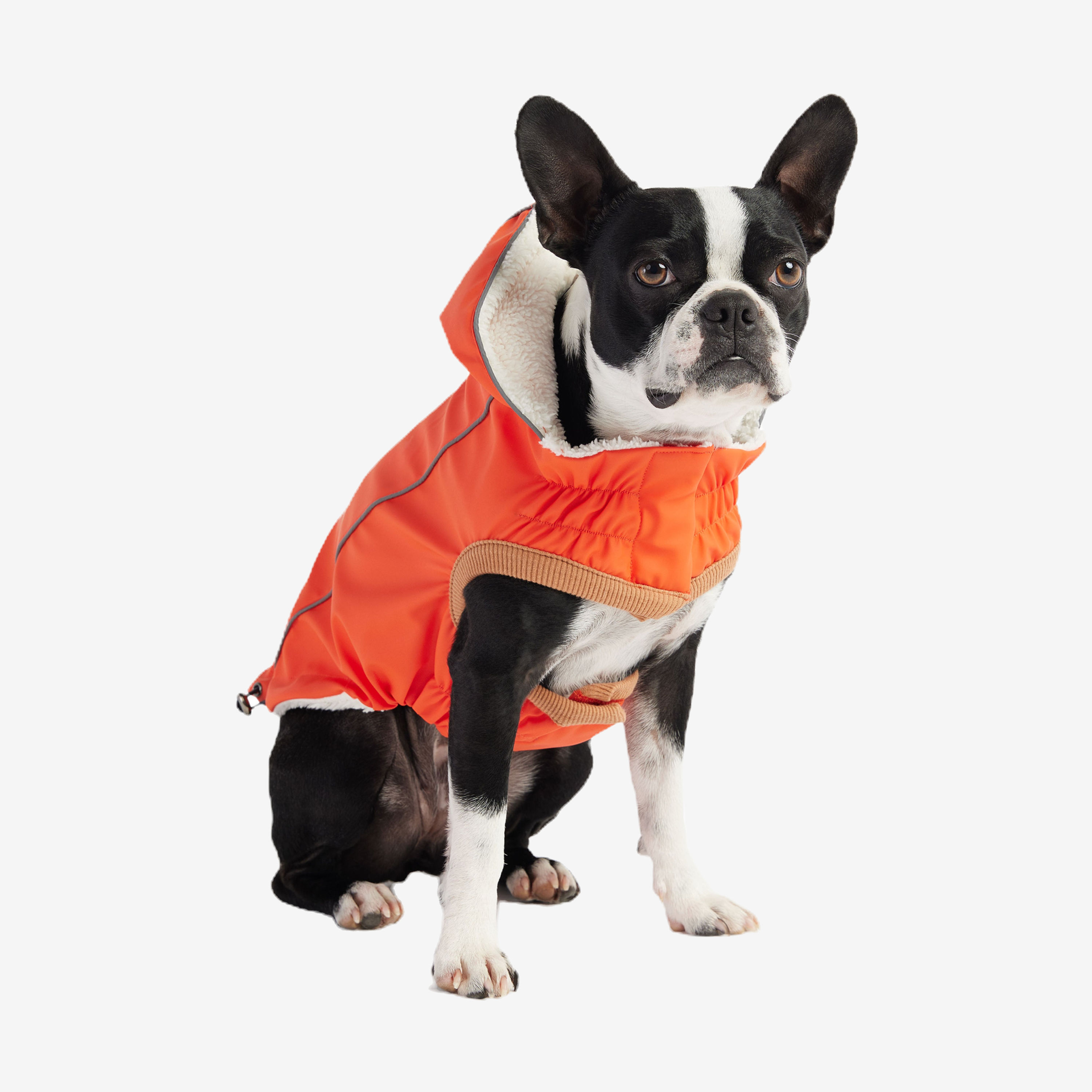 GF Pet Insulated Raincoat - Orange
