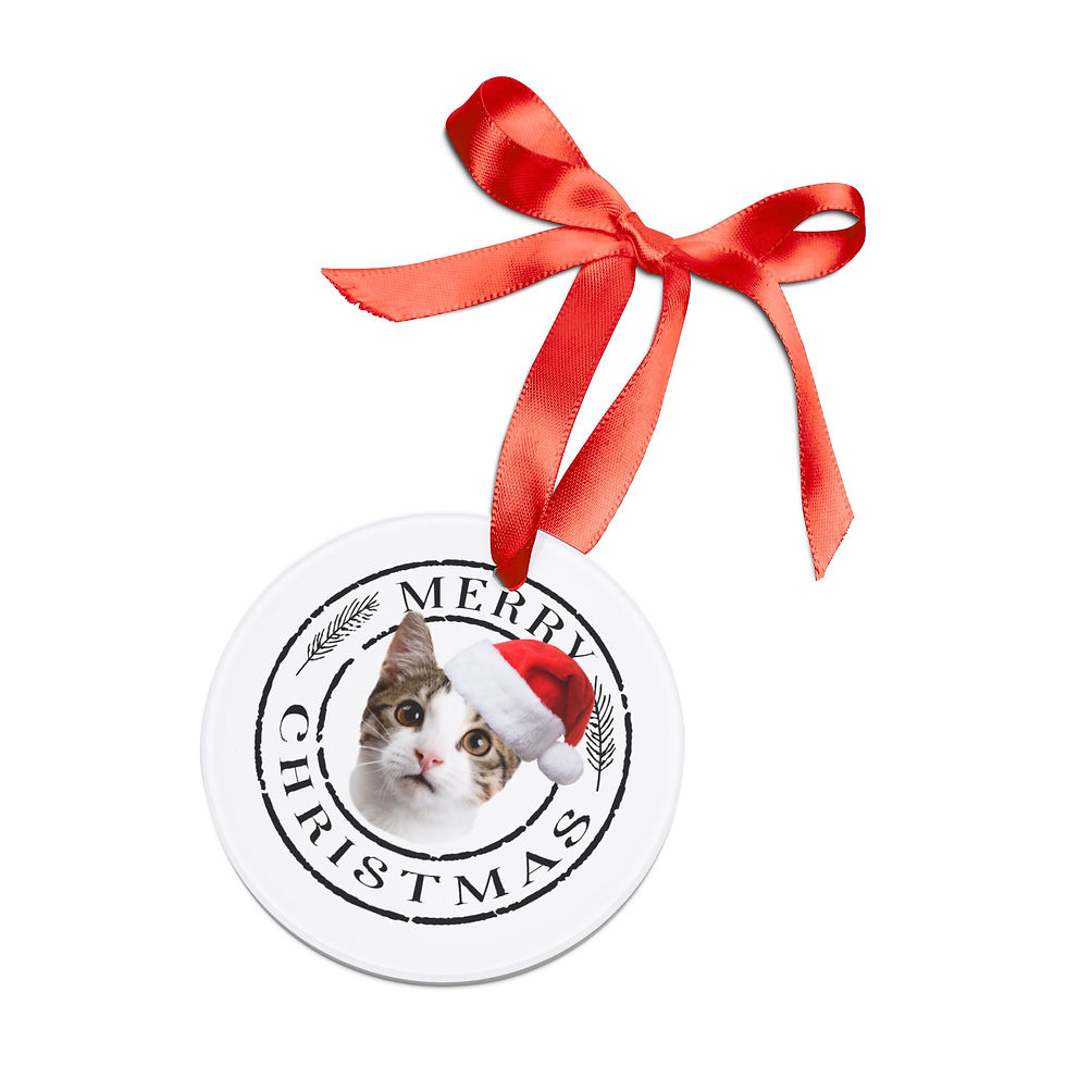 Thumbnail: Regal Beagle Bakery Merry Christmas Custom Acrylic Cat Ornament Front View