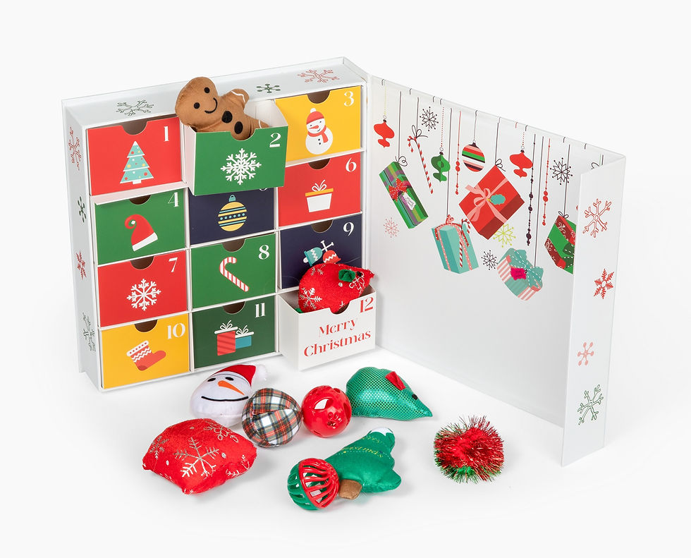 Advent Calendar For Cats Front View