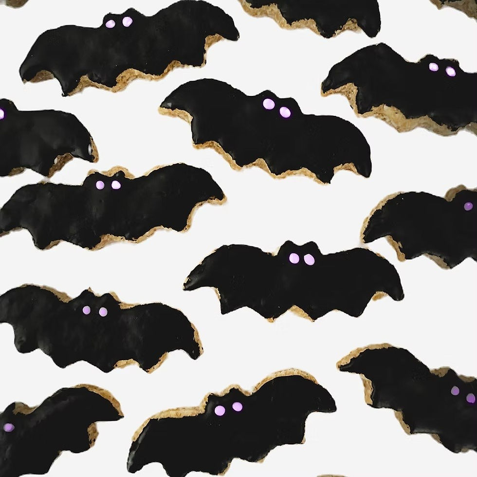 mini bat dog treats front view