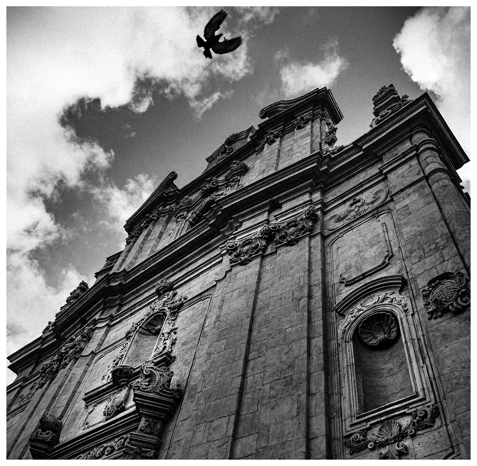Ostuni study 47