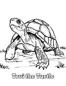 Coloring Sheet 5.jpg