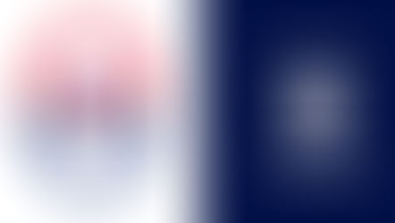 Corée du Sud/Hong Kong Chine: Les compos