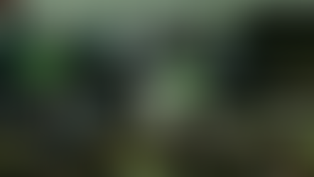 Le Sri Lanka écrase l'Inde et se qualifie pour la finale de l'Asia Rugby Division 1 2024