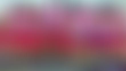 New Taipei Singer écrase Tainan Kaier